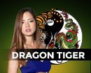 Dragon Tiger IDNLIVE